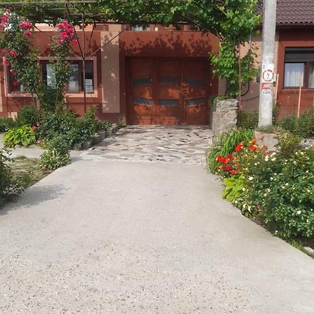 Casa Elena Eselnita Exterior foto