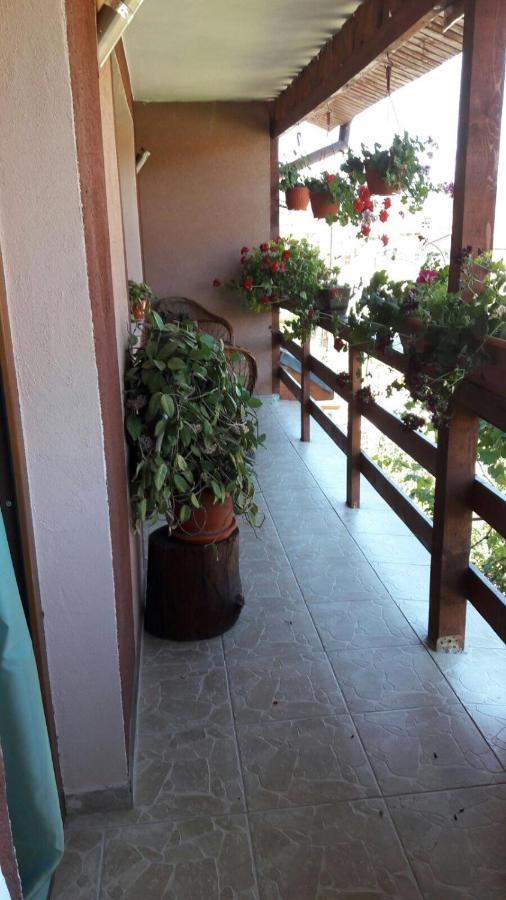 Casa Elena Eselnita Exterior foto
